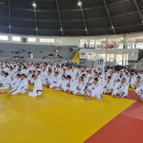 Credenciamento Técnico 2025 - São Caetano do Sul