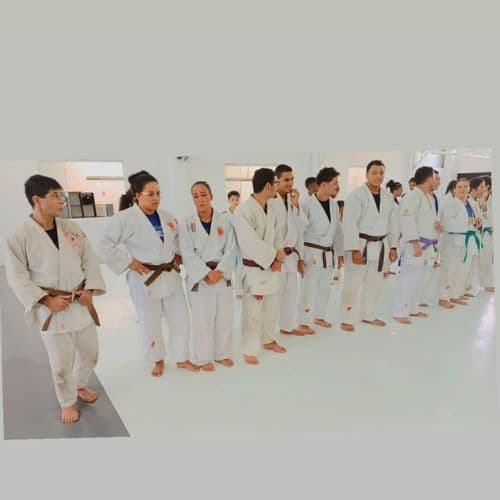 Treinamento Especial movimenta mais de 150 judocas em Limeira