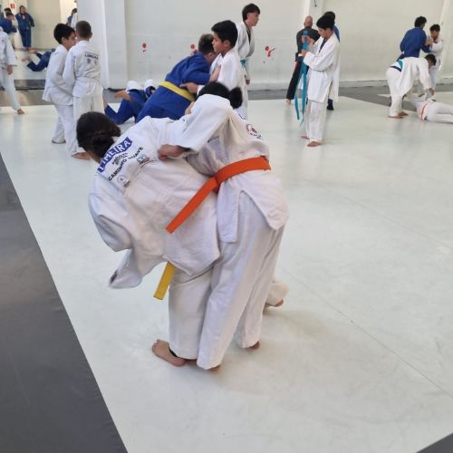 judodelimeira (11)