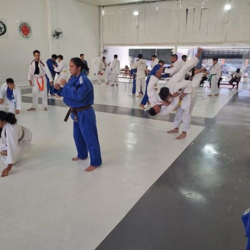 judodelimeira (5)