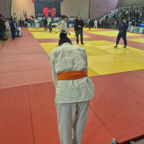 judodelimeira (5)