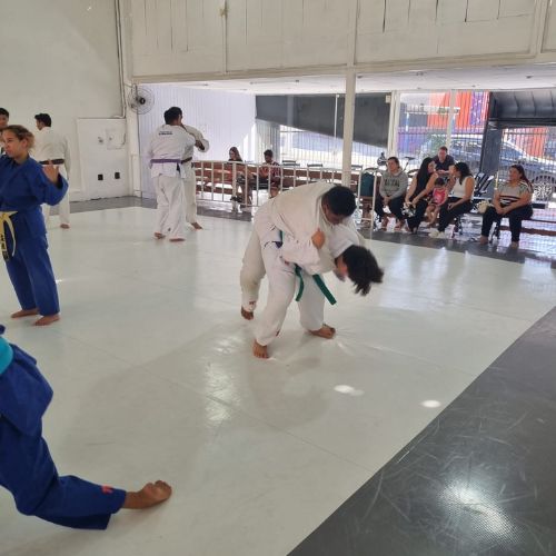 judodelimeira (6)