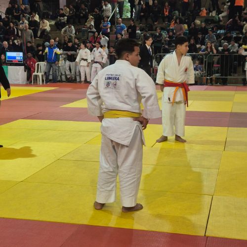 judodelimeira (6)