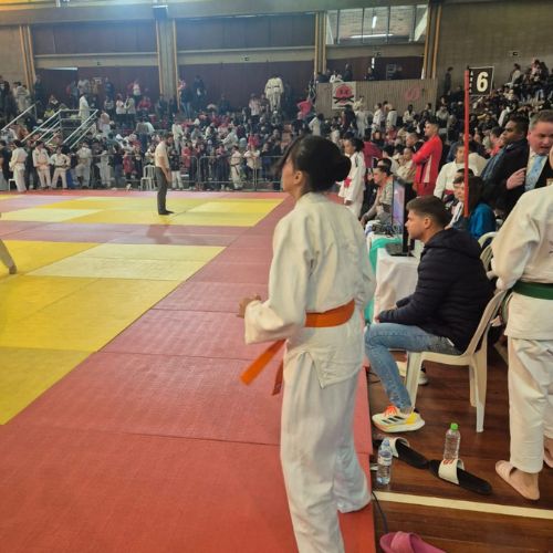 judodelimeira (8)