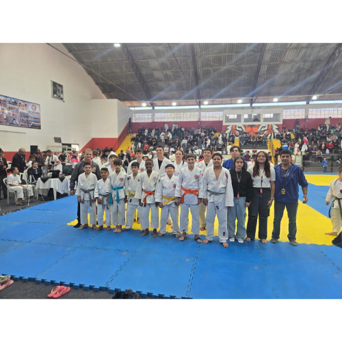 4º Festival de Judô – Sest Senat (13)