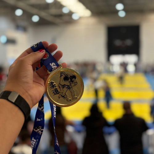 4º Festival de Judô – Sest Senat (6)